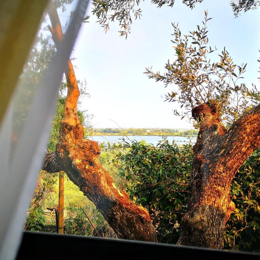 Sul Lago Dorato Terracina Ngoại thất bức ảnh