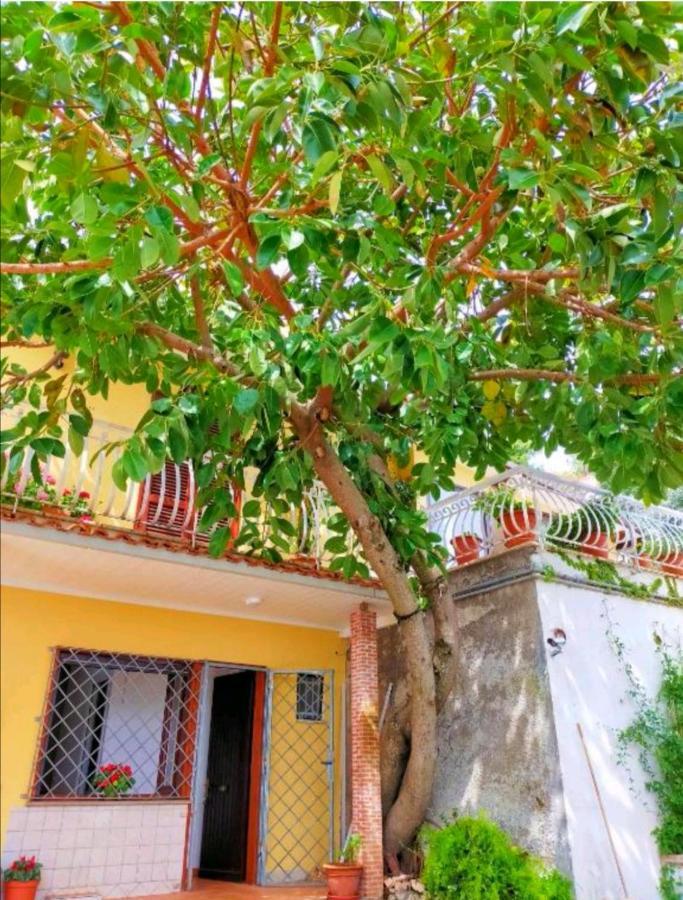 Sul Lago Dorato Terracina Ngoại thất bức ảnh